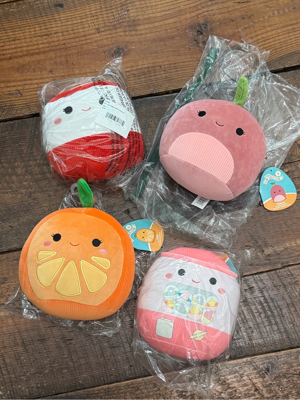 Squishmallow Squeaky Dog Toys (4)